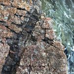 Fossil Cove – rock platform markings